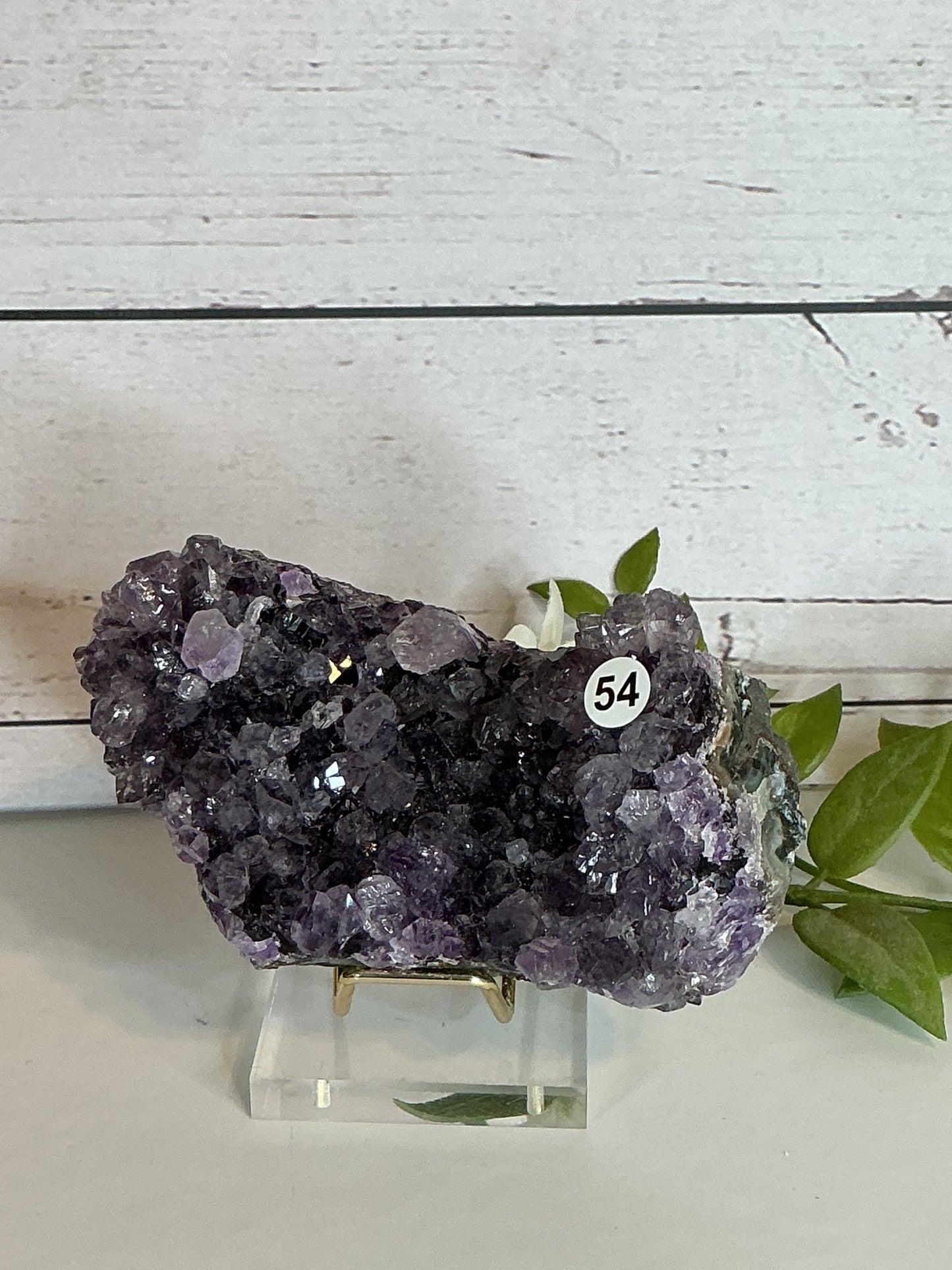 Amethyst cluster