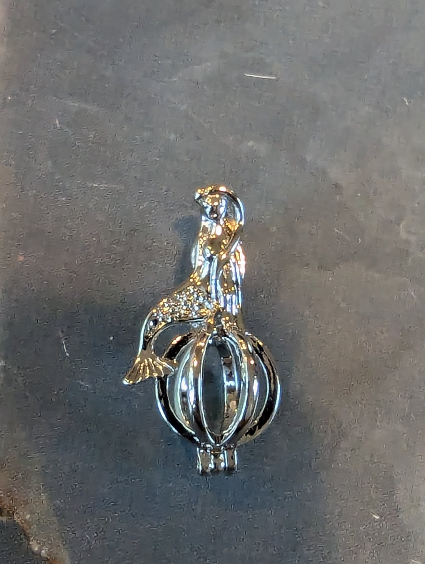 Steel mermaid cage