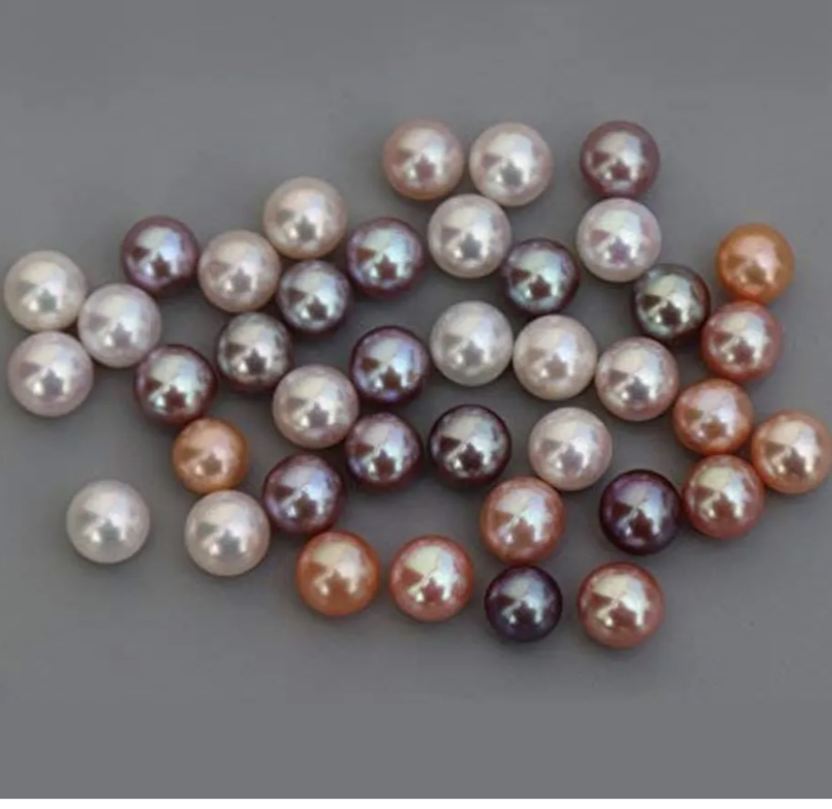 Salt water LIVE Pearl Reveal Oyster
