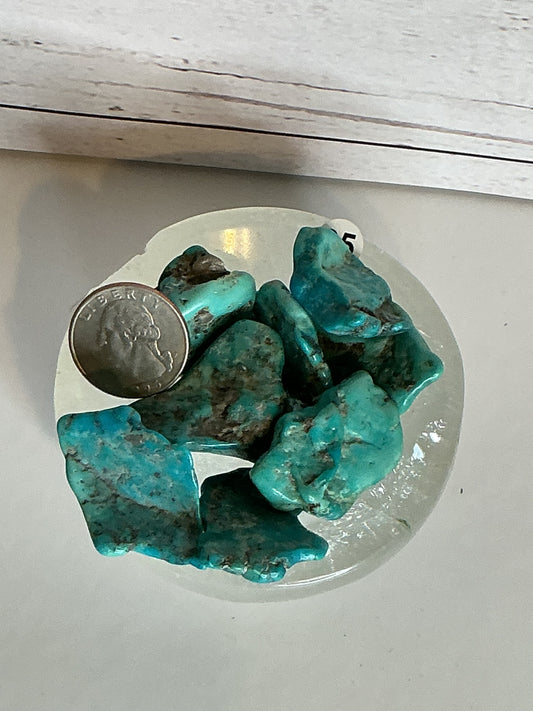 Mexican Turquoise 1 pc