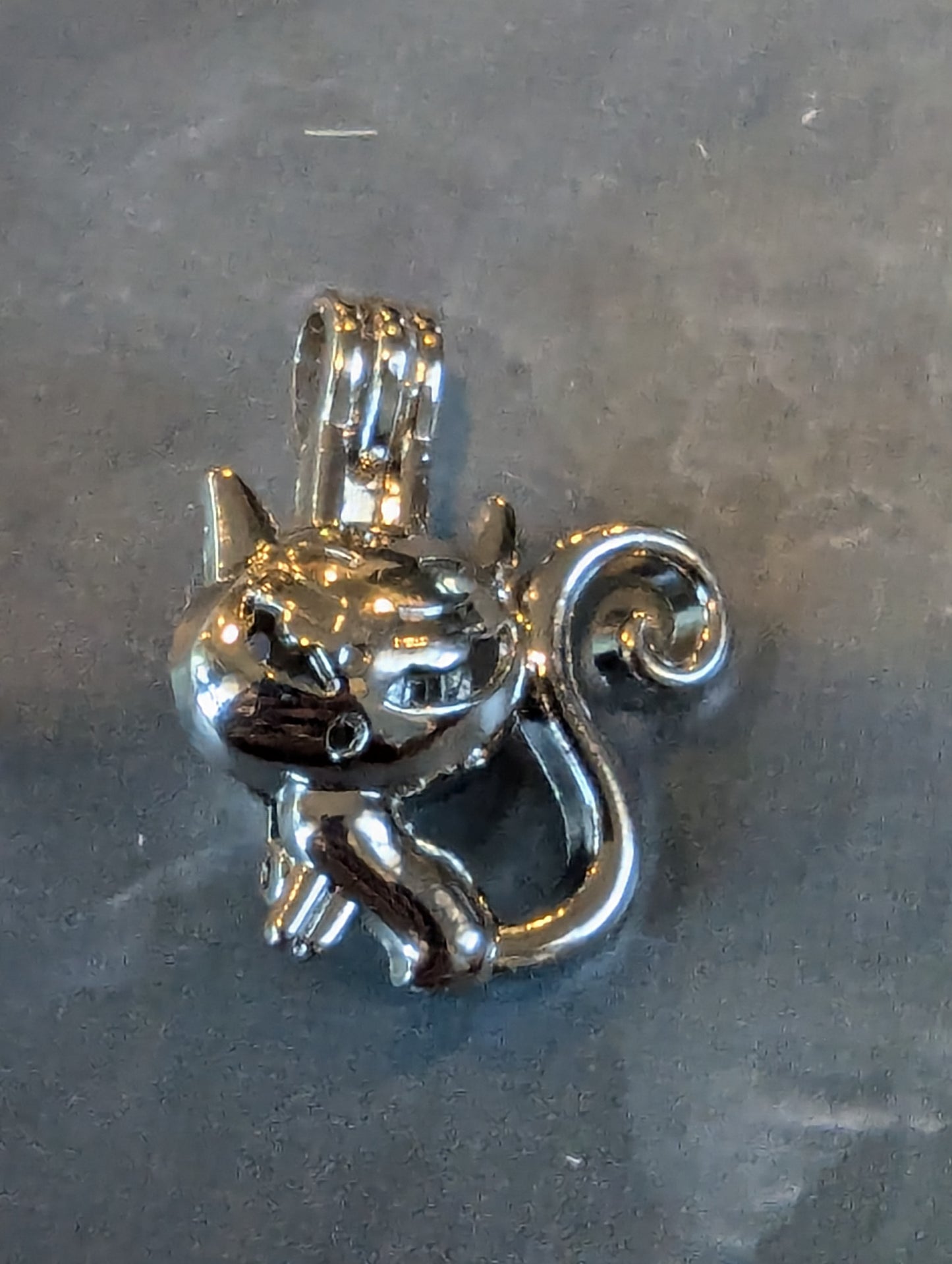 Steel Cat Cage