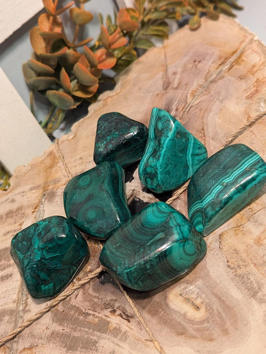 1 PC LARGE MALICHITE TUMBLES